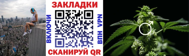 Купить закладку А ПВП  МЕТАДОН  COCAIN  Гашиш  Каннабис  Меф  Лебедянь