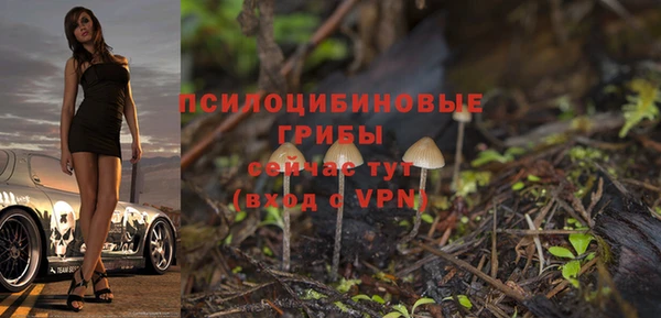 spice Елабуга