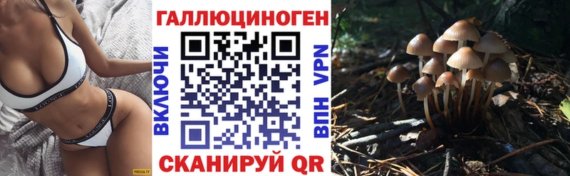 Купить закладки  Лебедянь  Галлюциногенные грибы MAGIC MUSHROOMS 